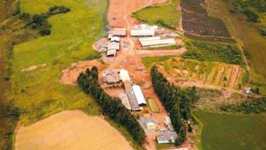 Viridis nabs $11.5M raise to fast-track Brazilian