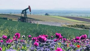 ADX bags $2.6M in quarterly sales as Austrian