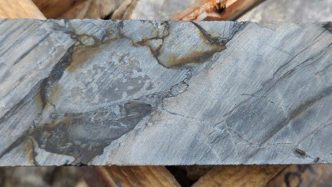 American West nails high-grade near-surface