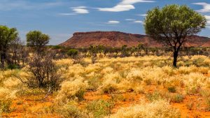 BMG Raises $600,000 to fast-track WA gold project