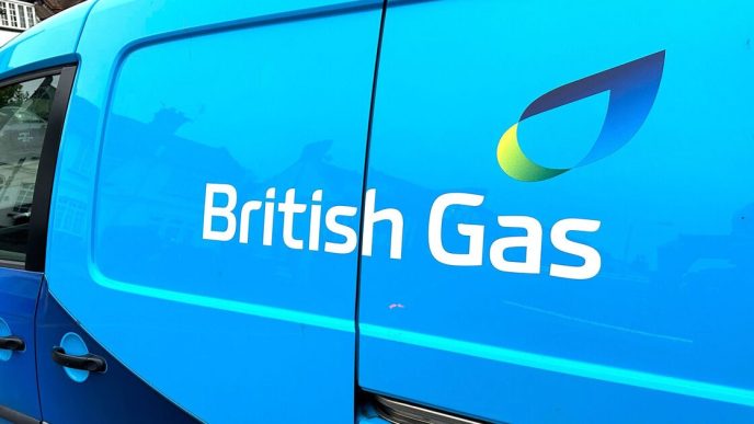 British Gas and Octopus Energy customers this