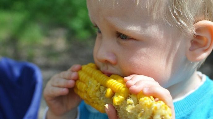 Corn Closes Mixed After Bulls Gain Ground on the