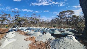Dynamic and MinRes tweak WA lithium joint venture