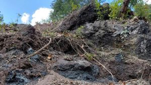 Estrella strikes rich Timor-Leste manganese and