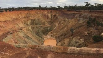 Everest scout program confirms Yilgarn gold