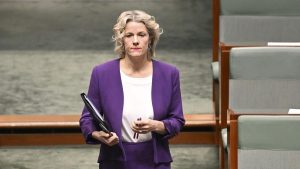 Experts cast doubt on Australia’s ‘aspirational’