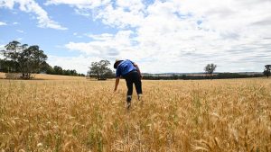Farmers get on front foot in evolving war against