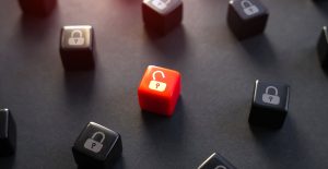 Fraudsters ‘exploited gaps’ in Shield and First