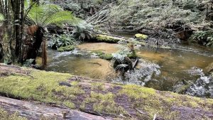 Infinity uncovers big gold targets from historic