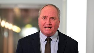 Nationals MP Barnaby Joyce warns AI could replace
