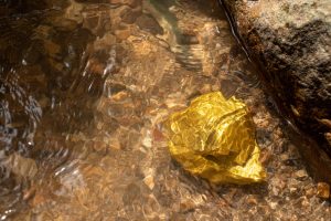 Party like it’s 1890: Historic Gold Prices Hit
