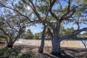 Three stations added to the National Park network