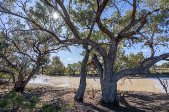 Three stations added to the National Park network