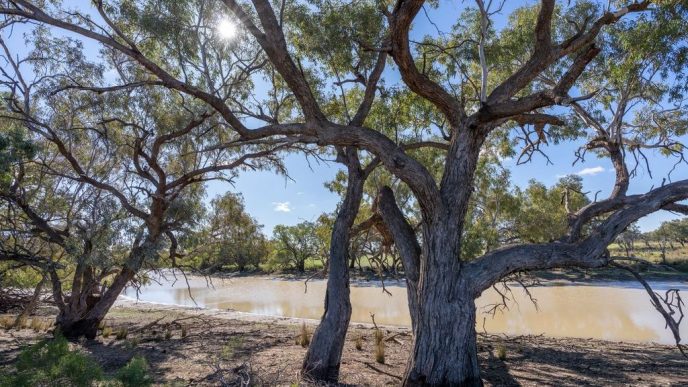 Three stations added to the National Park network