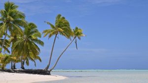 US starts seabed mineral talks with the Cook