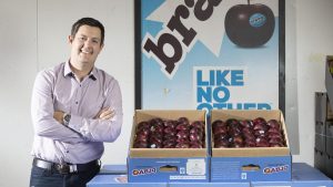WA-developed Soluna apples debut in United States