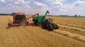 Wheat Holds Higher on the Midweek Session
