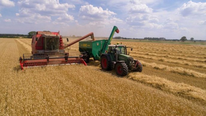 Wheat Holds Higher on the Midweek Session