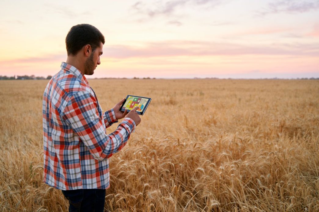 Wheat Posting Midday Gains | Nasdaq