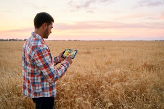 Wheat Posting Midday Gains | Nasdaq