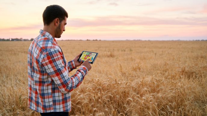 Wheat Posting Midday Gains | Nasdaq